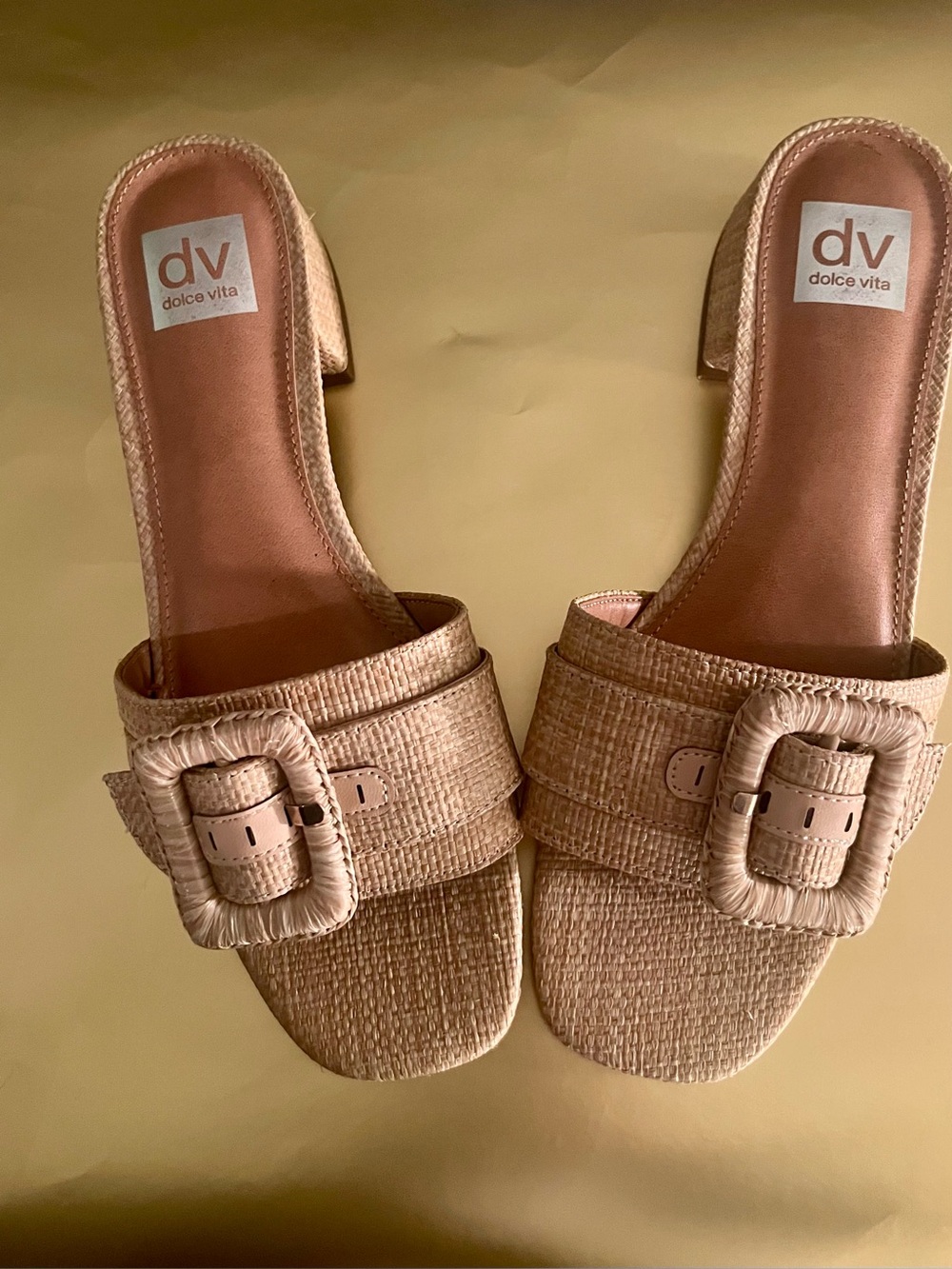 DV Dolce Vita Nillz Buckle Slide Low Block Heel Sandals. size 10
